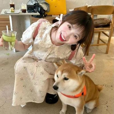 魔精回归